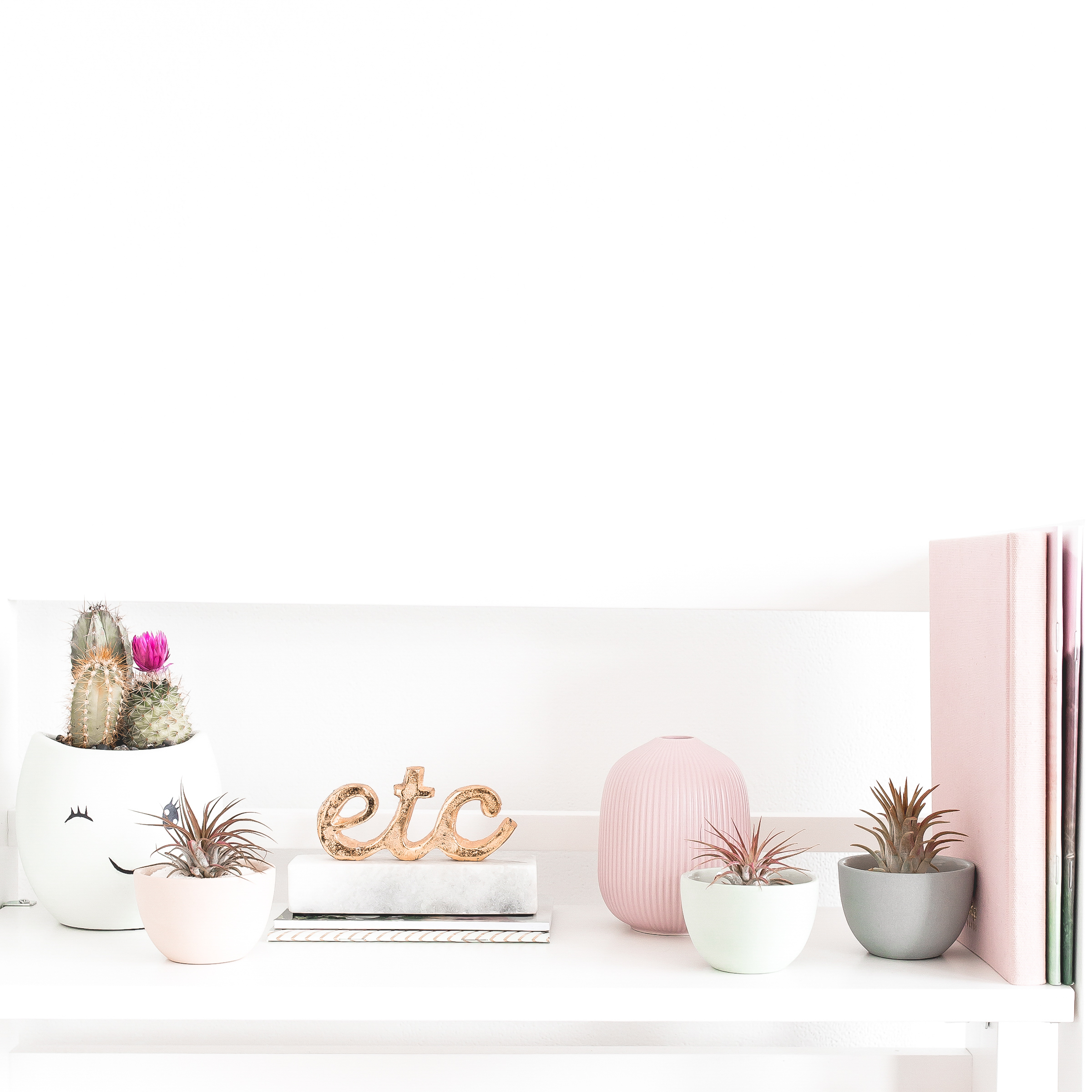 Pinterest coach